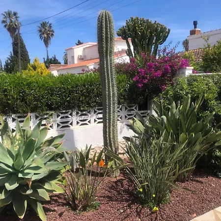 Met Verwarmd Prive Zwembad